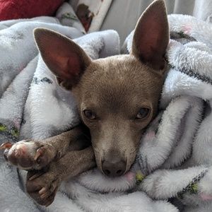 Meet your Posher, Silvia